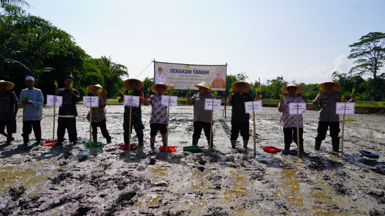 Gerakan Tanam Padi di Parung Panjang, Langkah Nyata Pemkab Bogor Tekan Inflasi