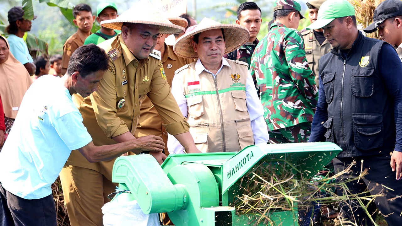 Panen Raya Padi 2025: Rudy Susmanto Gelorakan Semangat Swasembada Pangan di Bogor