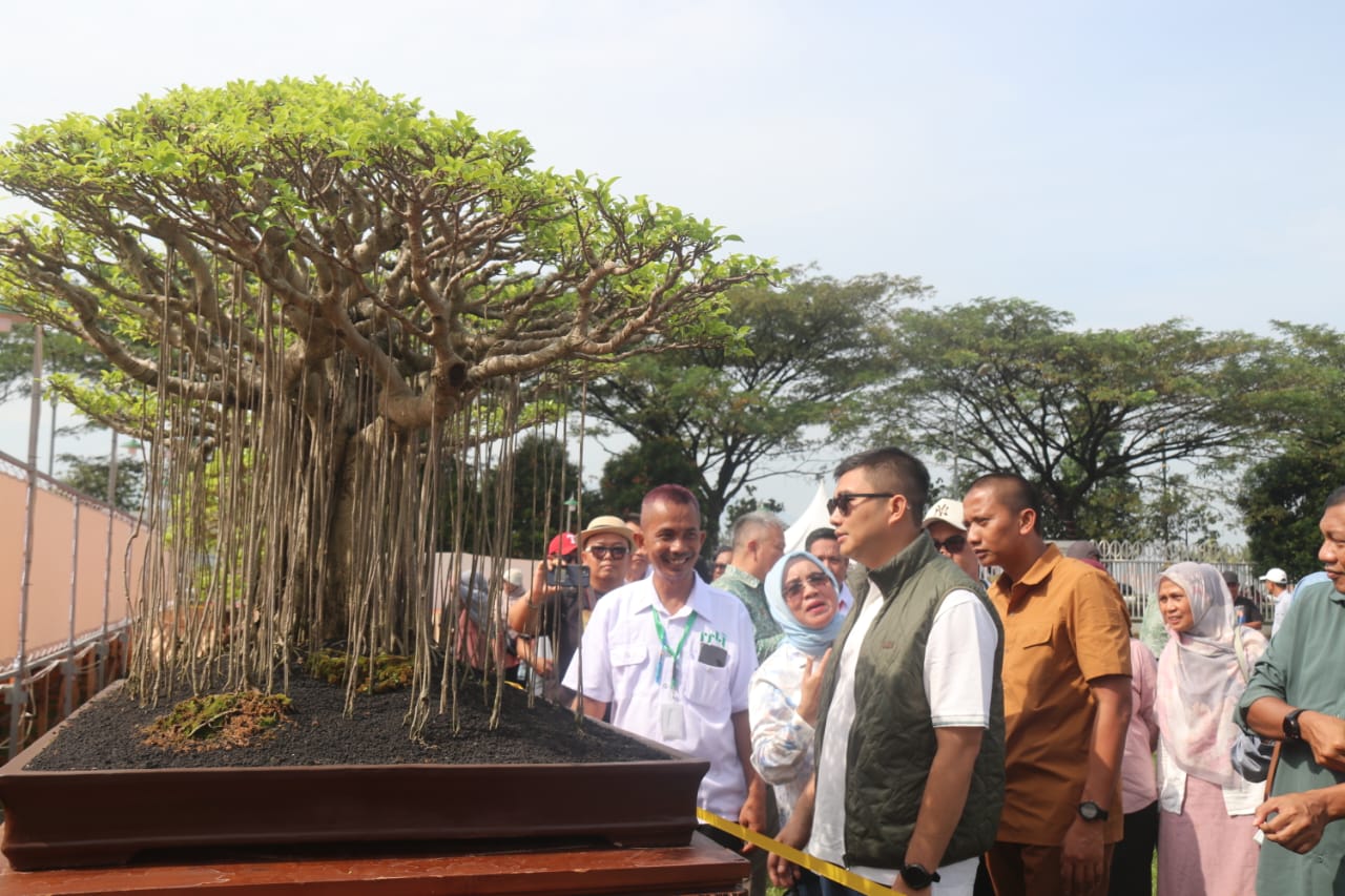 Perdana Kabupaten Bogor Jadi Tuan Rumah Kontes Bonsai Nasional, Momen Istimewa HJB ke-543