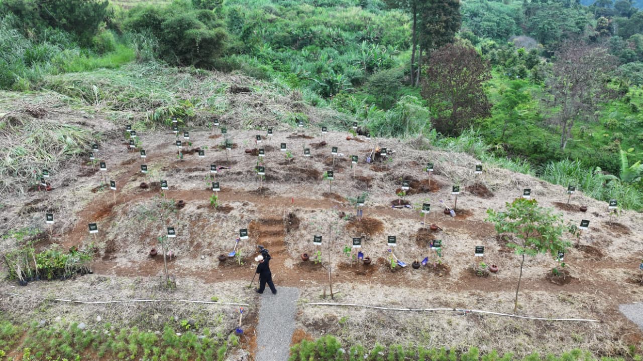 WhatsApp Image 2025-10-28 at 18.58.19 (5)