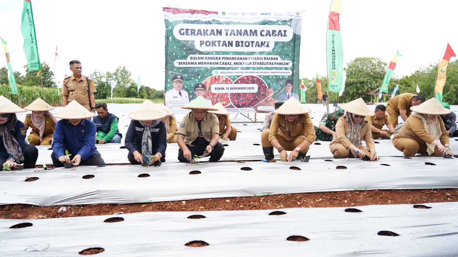 Pemkab Bogor Lakukan Penanaman Cabai Bersama Poktan Biotani Untuk Kendalikan Inflasi Daerah