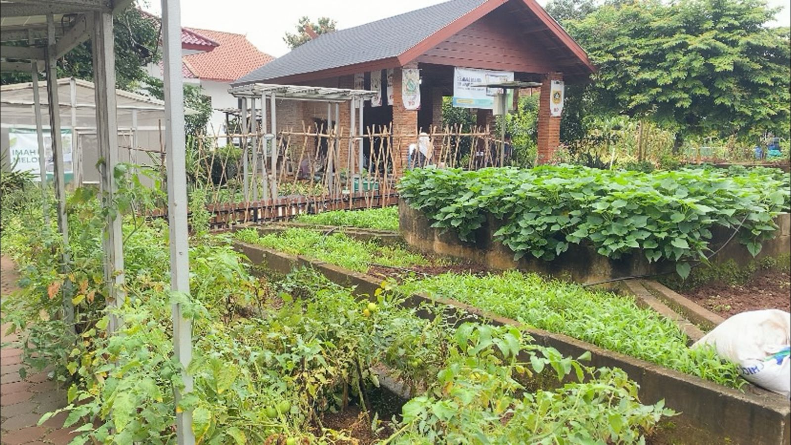 Antisipasi Dampak Konflik Global, Pemkab Bogor Ajak Warga Perkuat Ketahanan Pangan dari Pekarangan