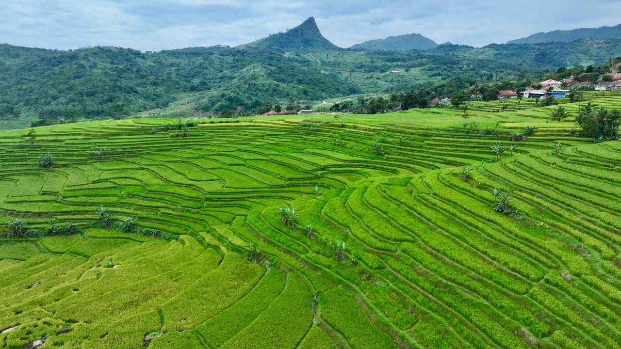 Pemkab Bogor Perkuat Sukamakmur sebagai Pusat Ekonomi Baru, Dorong Percepatan CDOB Bogor Timur