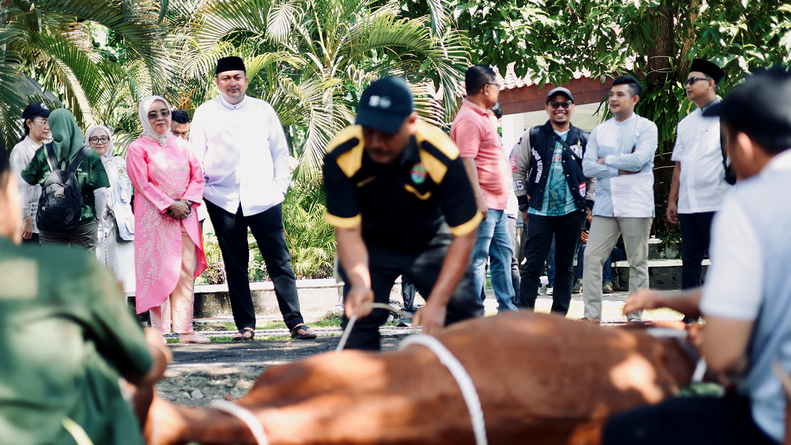 Pemkab Bogor Salurkan 130 Ekor Sapi Kurban ke Pesantren dan Masjid Raya