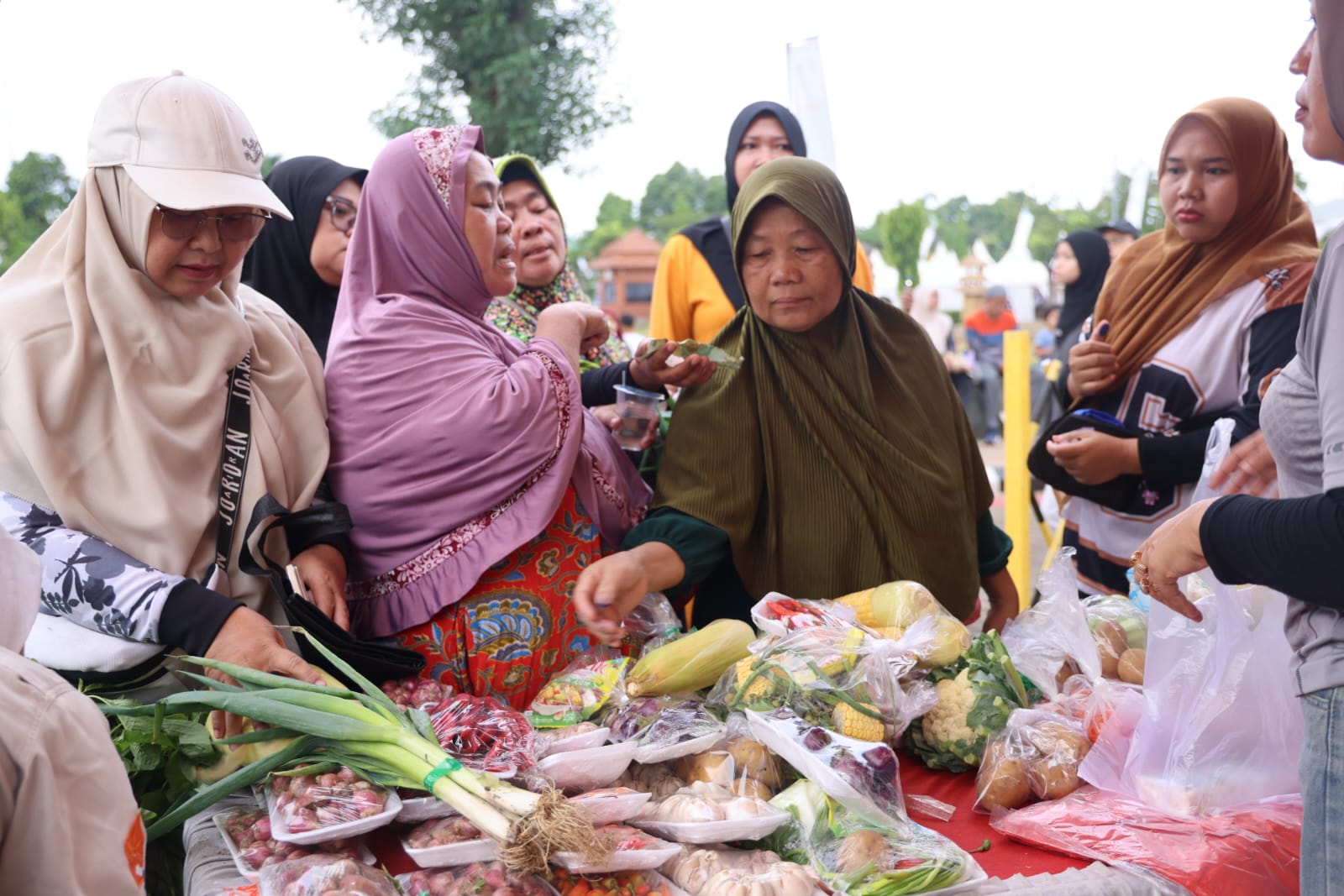 Pemkab Bogor Bagikan Sayur dan Buah Gratis Peringatan Pada Hari Pangan Sedunia
